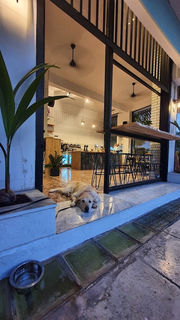 Interior of Omsom Coffee Roasters, specialty coffee shop in Athens