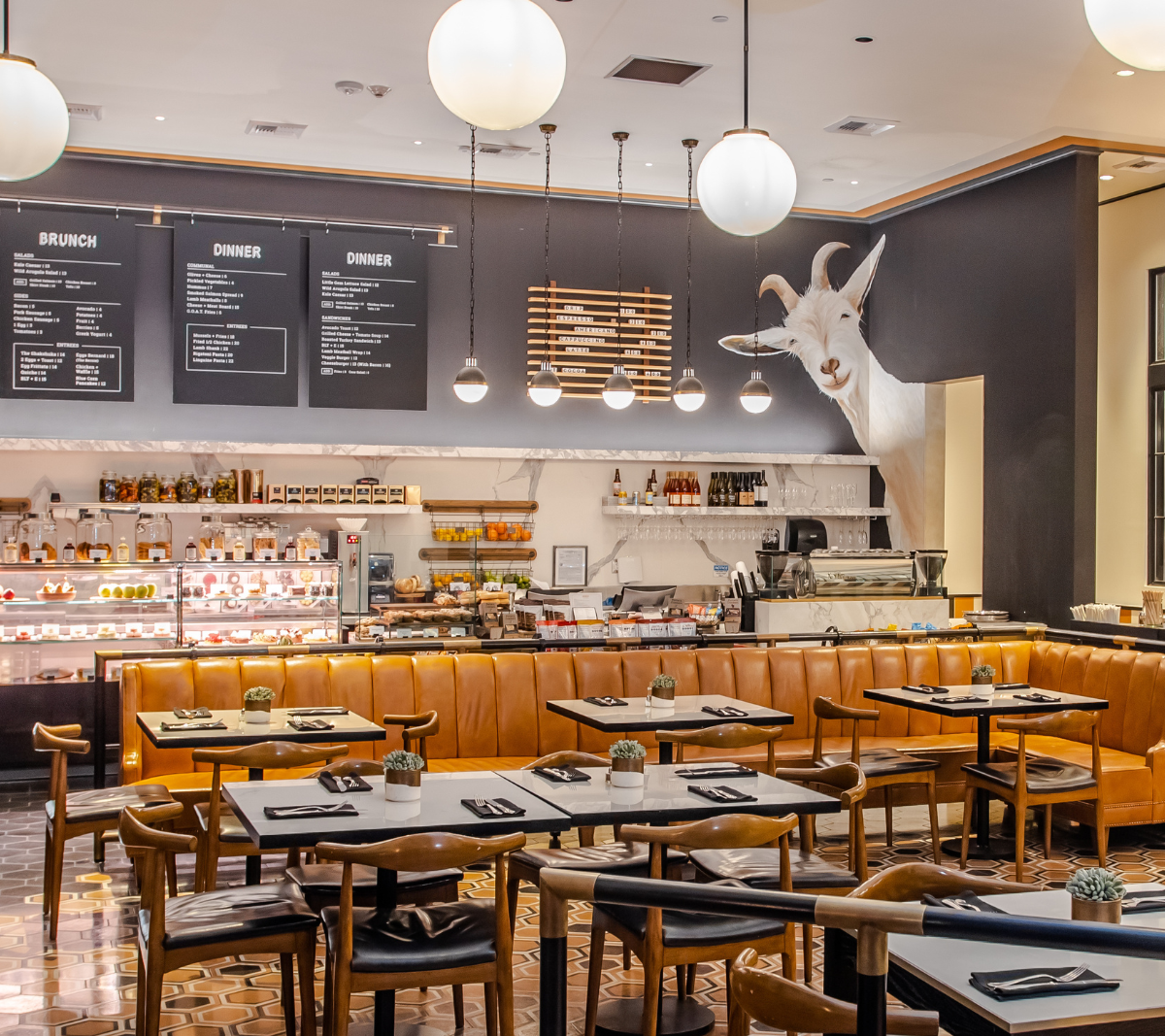 Interior of Goat Tree, specialty coffee shop in Santa Barbara