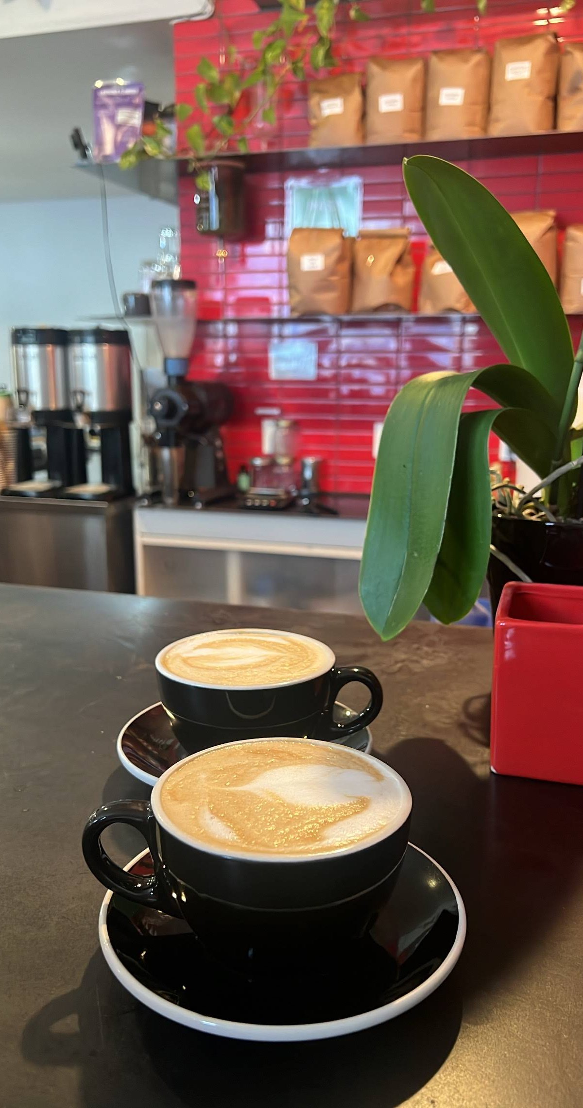 Souvenir Coffee Co. specialty coffee shop in San Francisco - photo 8