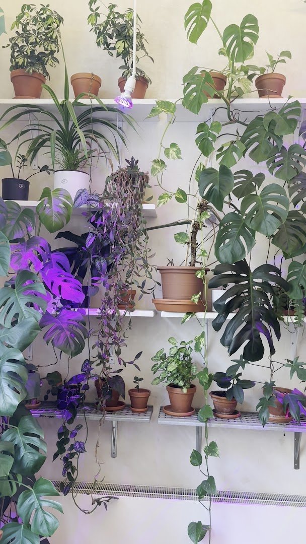 Interior of Urban Café, specialty coffee shop in Prague