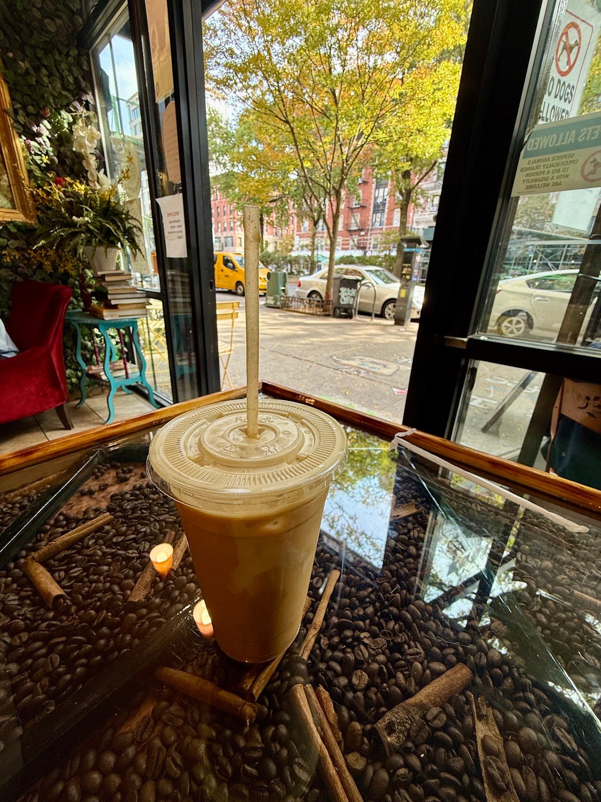 Zelma's Caffe specialty coffee shop in New York - photo 3