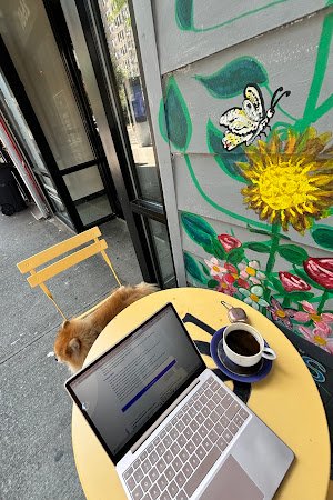 Zelma's Caffe specialty coffee shop in New York - photo 8