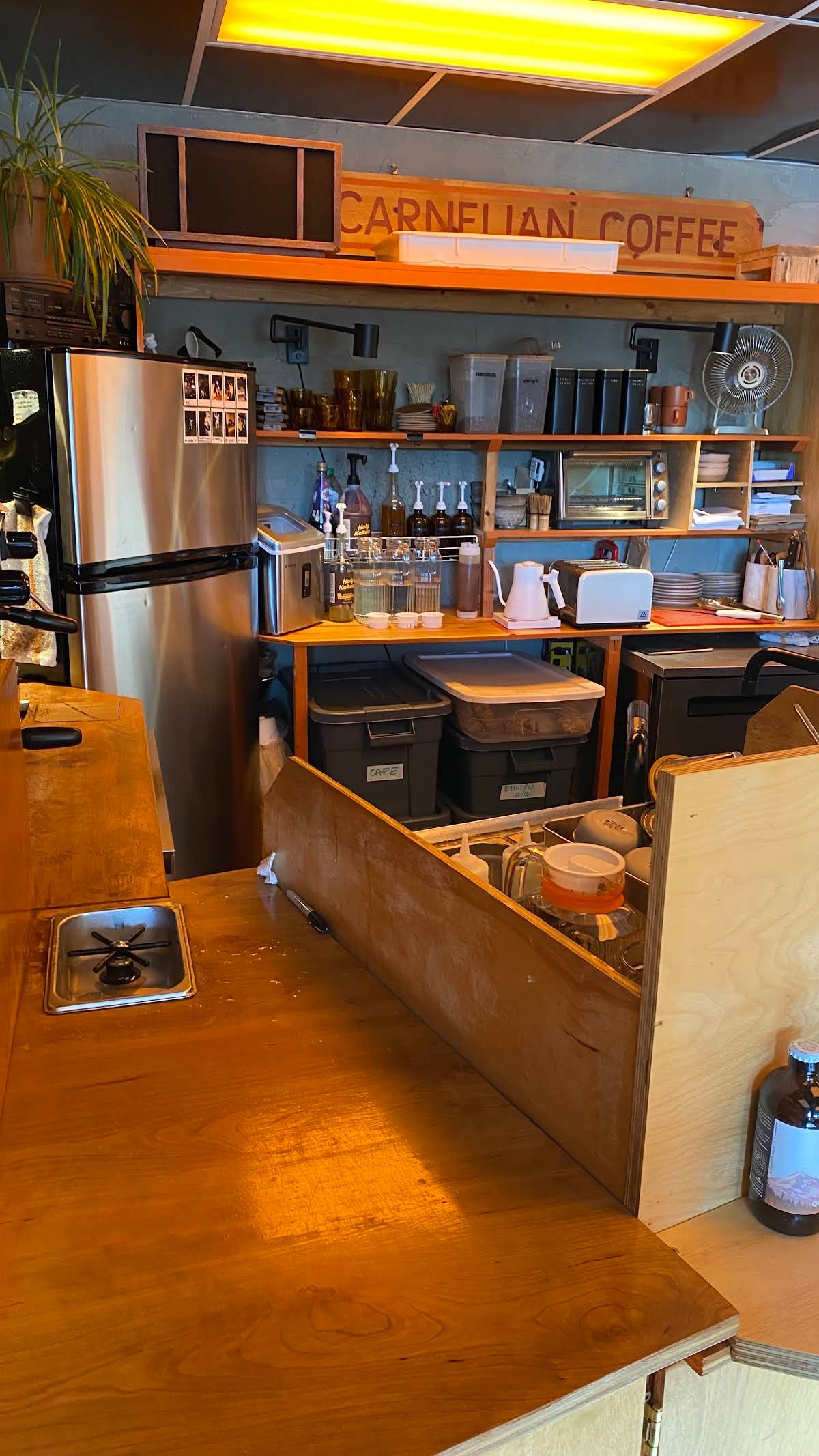 Carnelian Coffee specialty coffee shop in Portland - photo 16