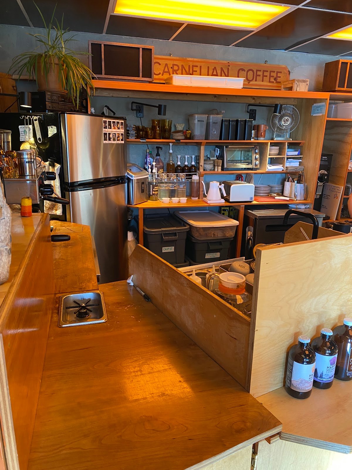 Carnelian Coffee specialty coffee shop in Portland - photo 4