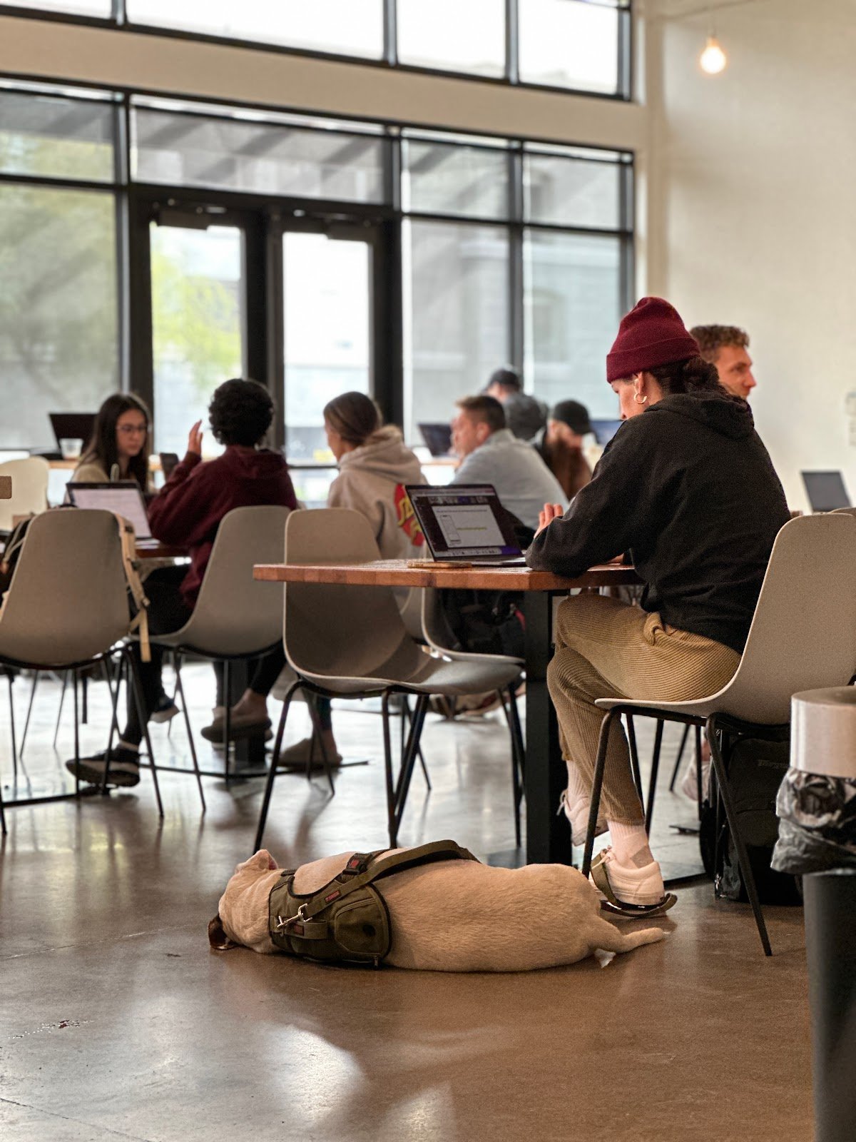 Moxie Coffee Co. specialty coffee shop in Phoenix - photo 2