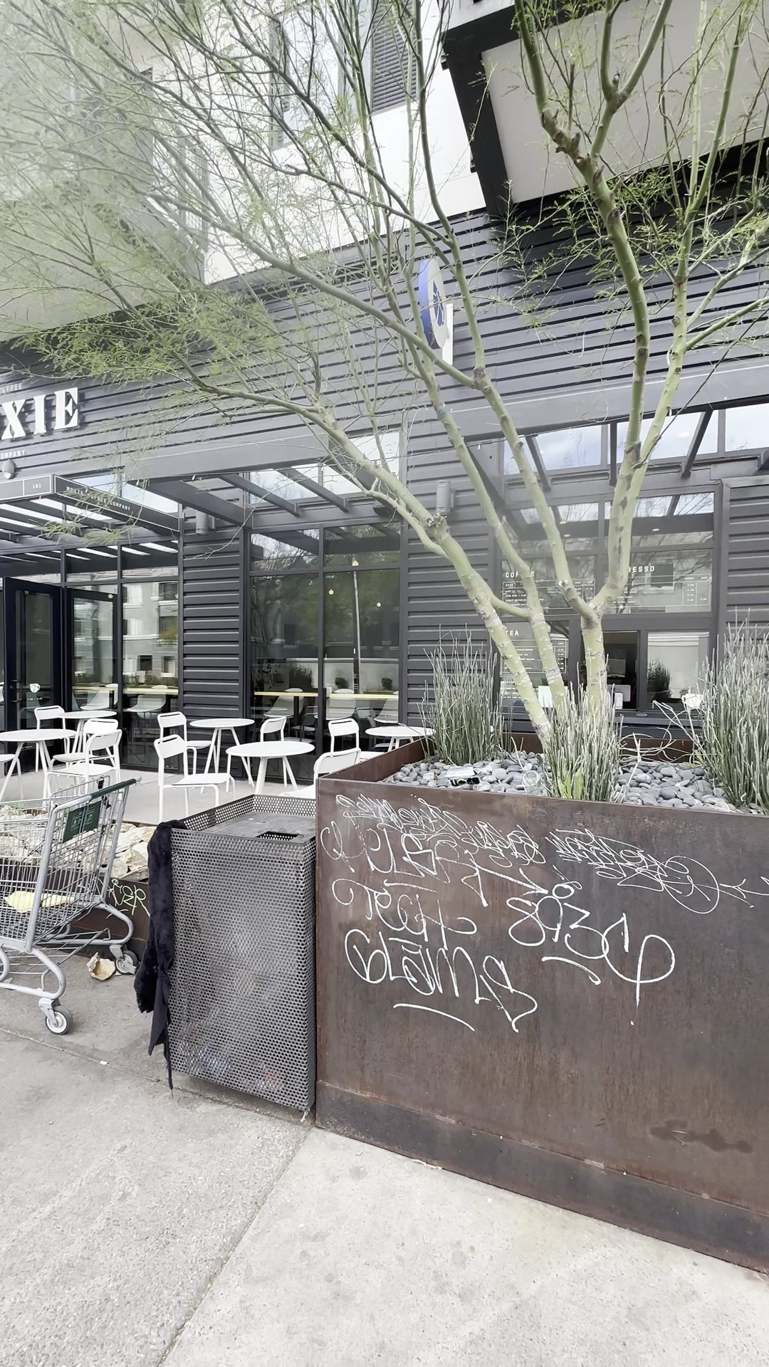 Moxie Coffee Co. specialty coffee shop in Phoenix - photo 7