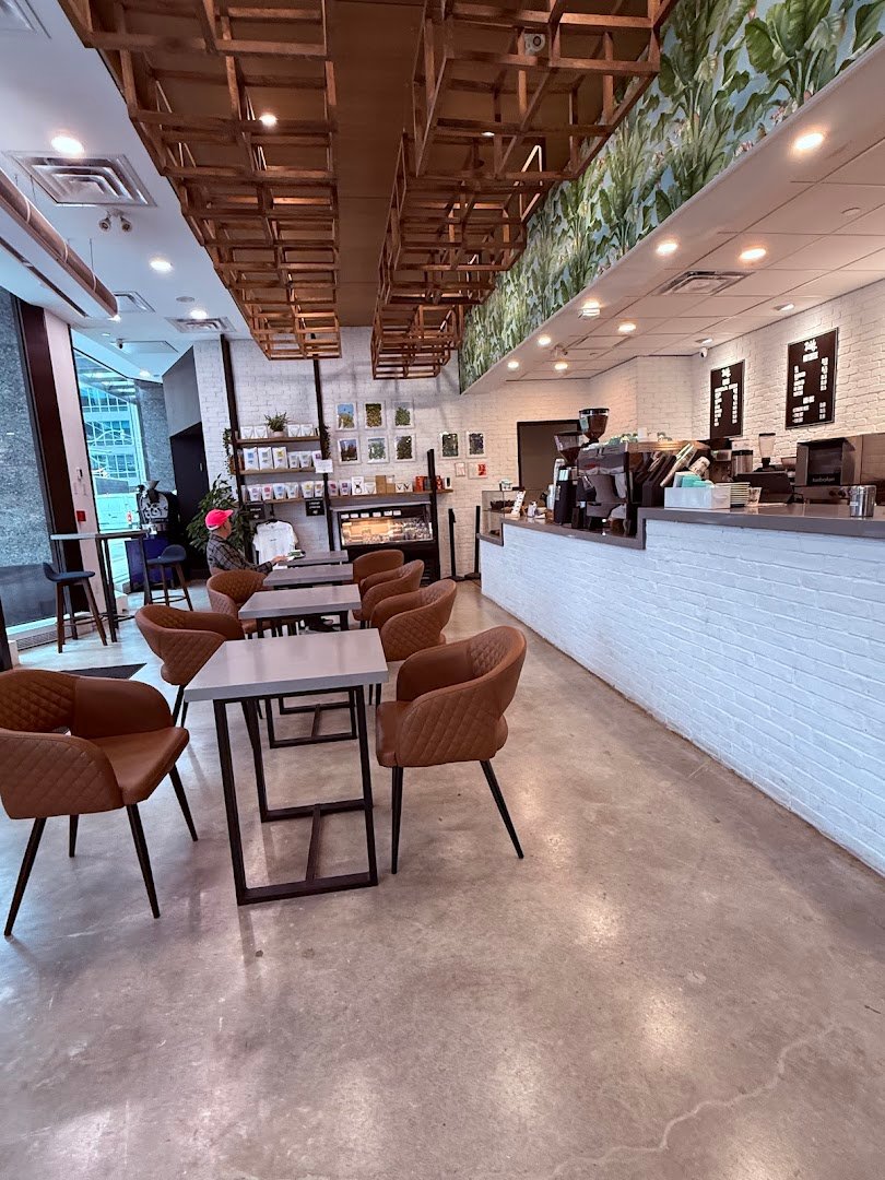 Interior of Hale Coffee Company, specialty coffee shop in Toronto