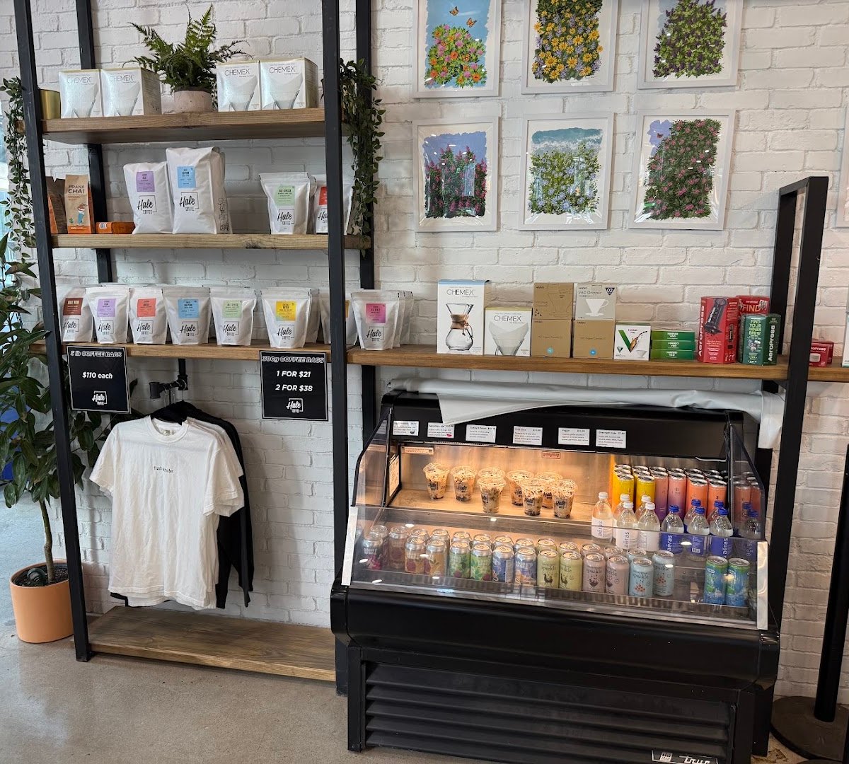 Interior of Hale Coffee Company, specialty coffee shop in Toronto