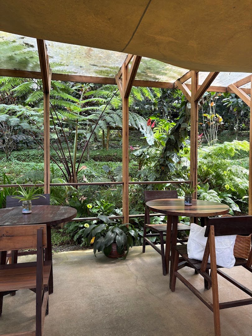 Talasi Estate at Batukaru Bali specialty coffee shop in Bali - photo 8
