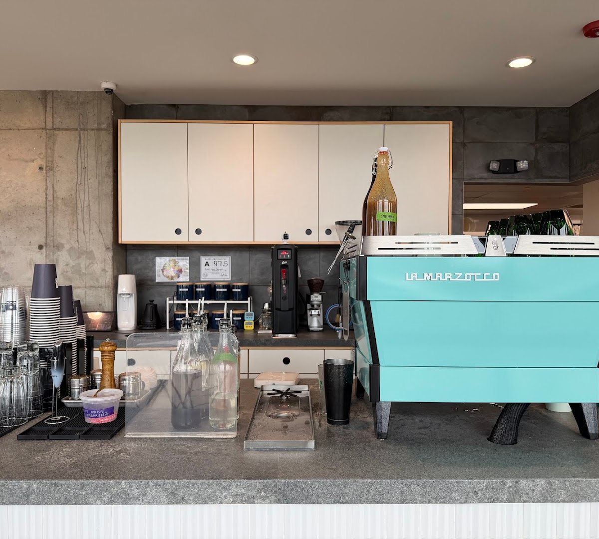 Interior of Night Swim Coffee Brevard, specialty coffee shop in Charlotte