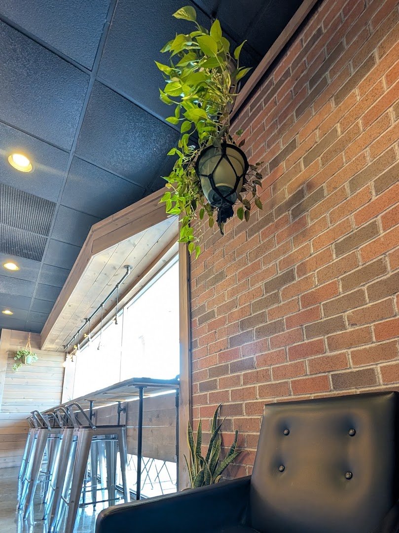 Interior of Anecdote Coffee, specialty coffee shop in Indianapolis