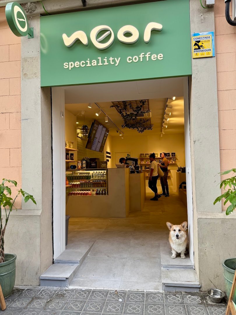 Noor | Cafè d'Especialitat specialty coffee shop in Barcelona - photo 8