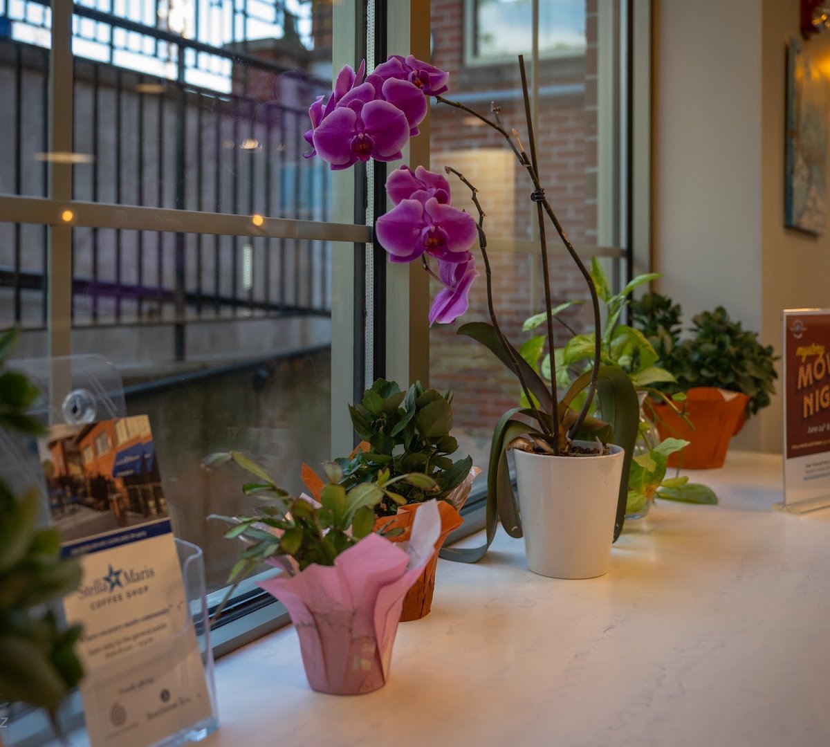 Interior of Stella Maris Coffee Shop, specialty coffee shop in Cleveland