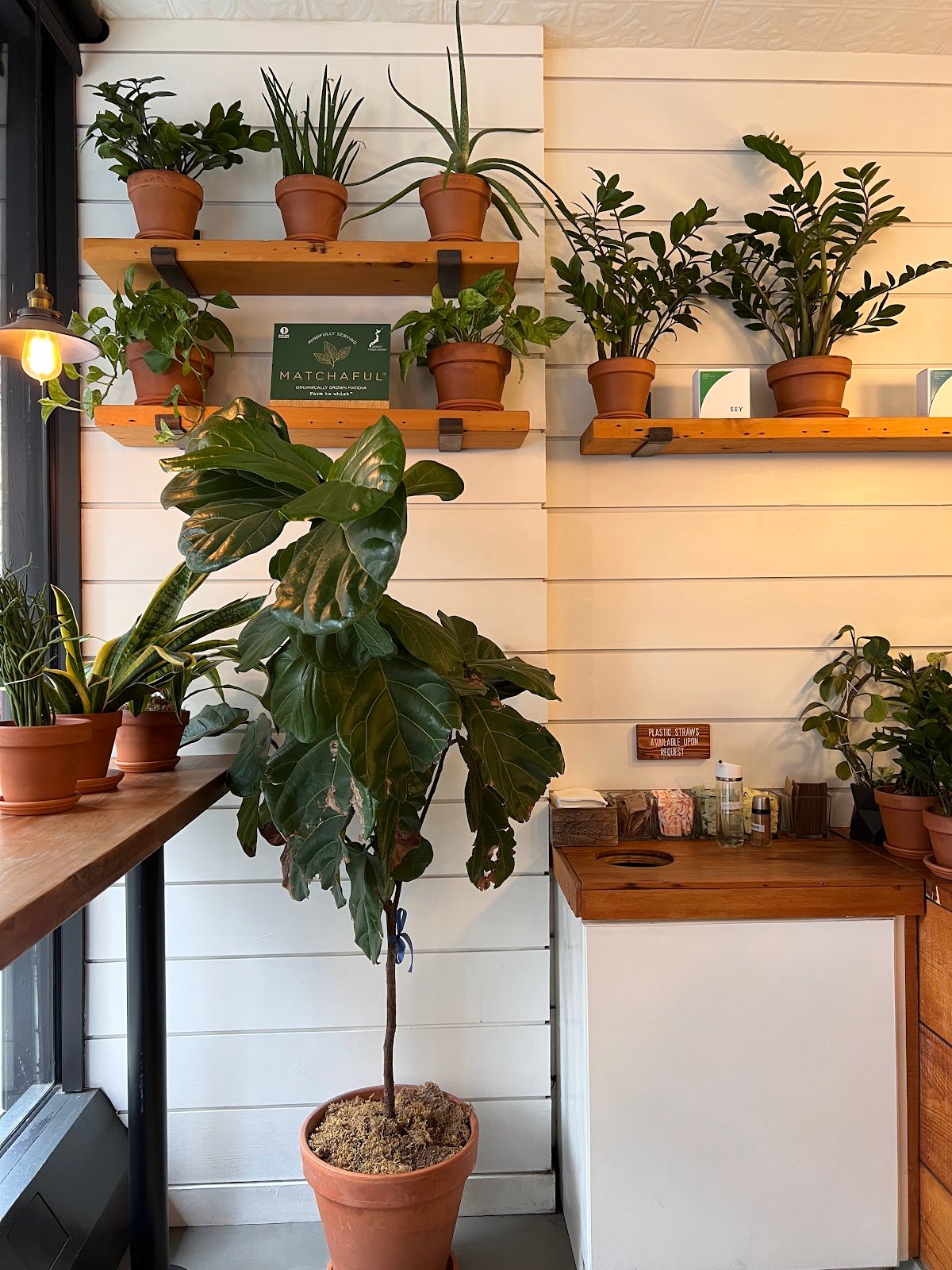 Yanni's Coffee specialty coffee shop in New York - photo 5