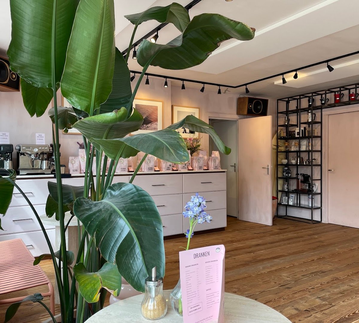 Badeta Koffiebranders Watergraafsmeer specialty coffee shop in Amsterdam - photo 12