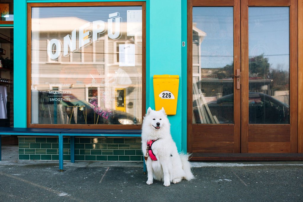 Storefront of ONEPU Coffee & Icecream Shack, specialty coffee shop in Wellington