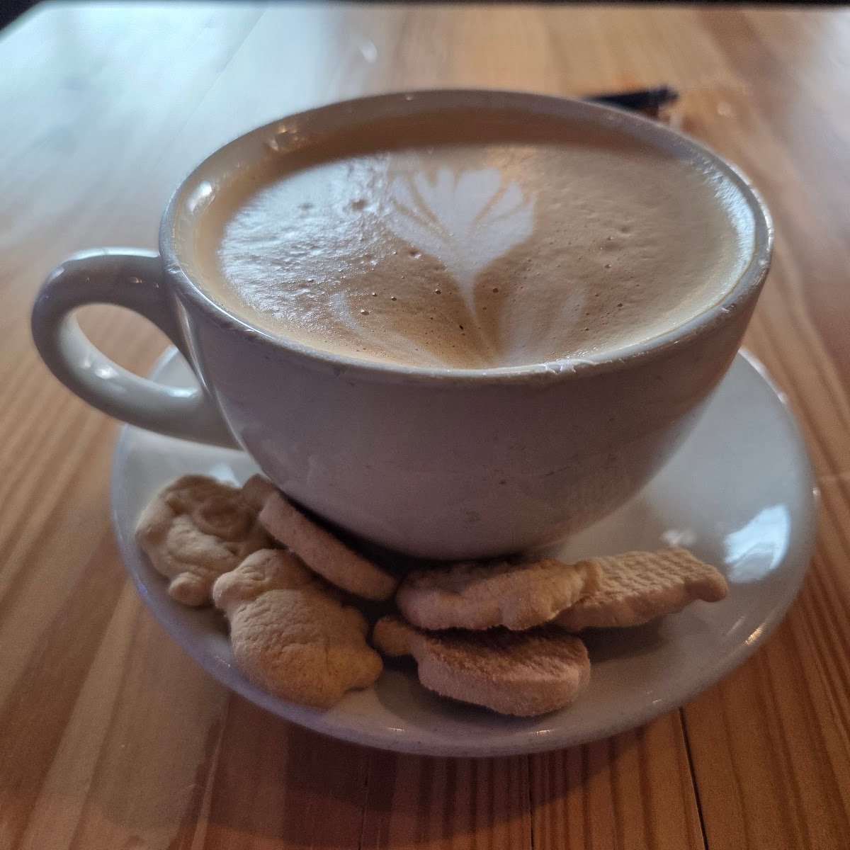 Coffee at Halcyon Southtown, specialty coffee shop in San Antonio