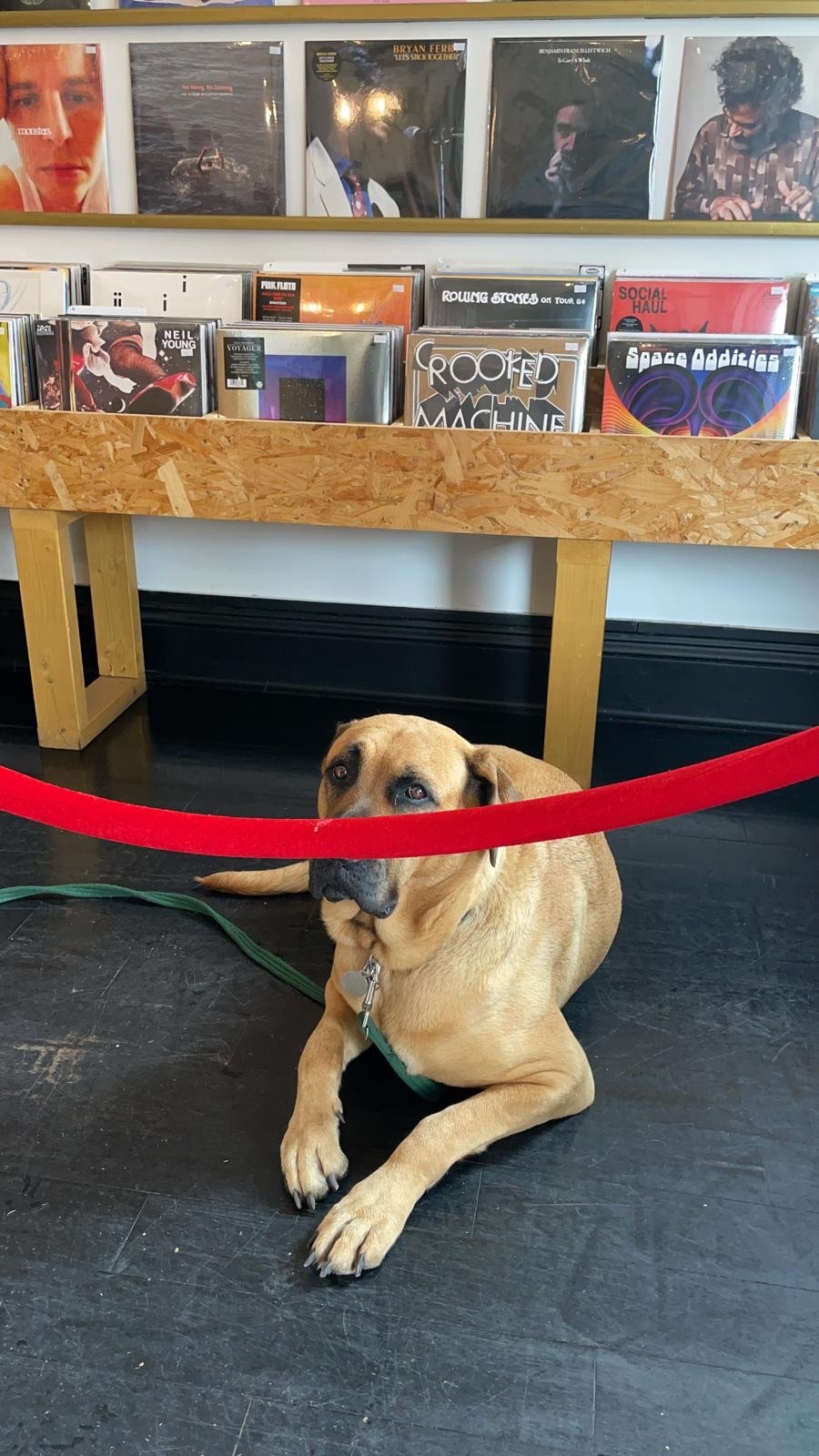 Level Crossing Records specialty coffee shop in London - photo 5