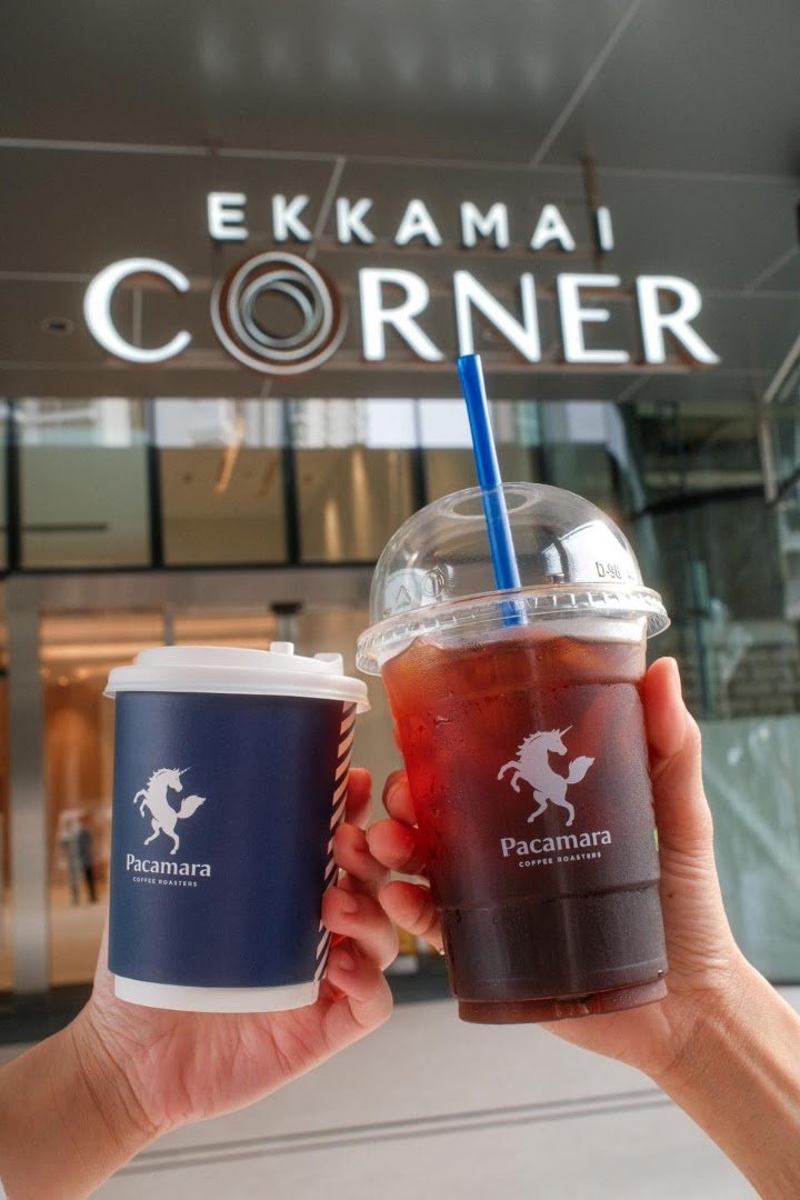Pacamara Coffee Roasters Ekkamai Corner specialty coffee shop in Bangkok - photo 4