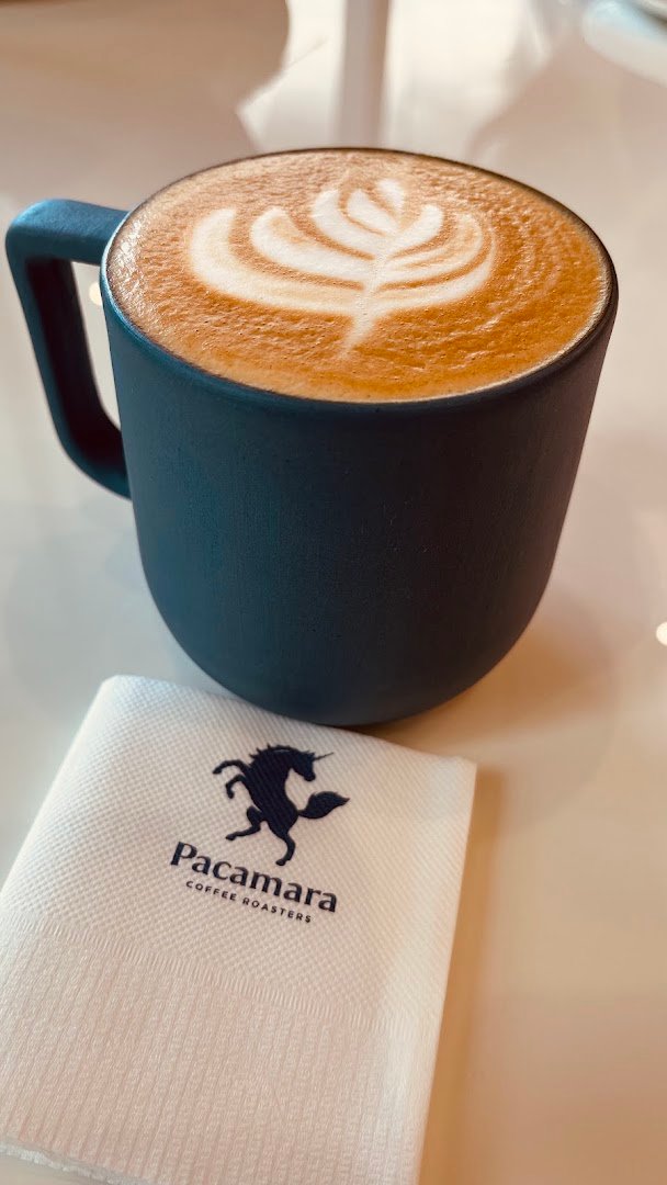 Pacamara Coffee Roasters Ekkamai Corner specialty coffee shop in Bangkok - photo 7