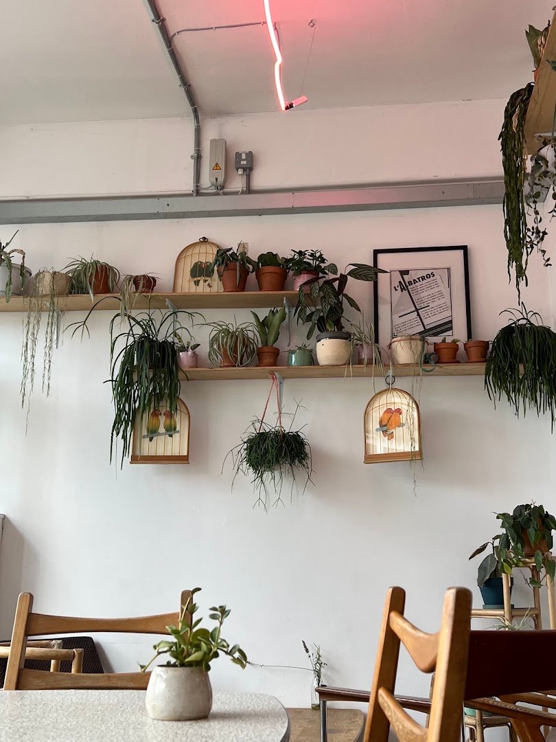Albatross Café specialty coffee shop in Bristol - photo 6