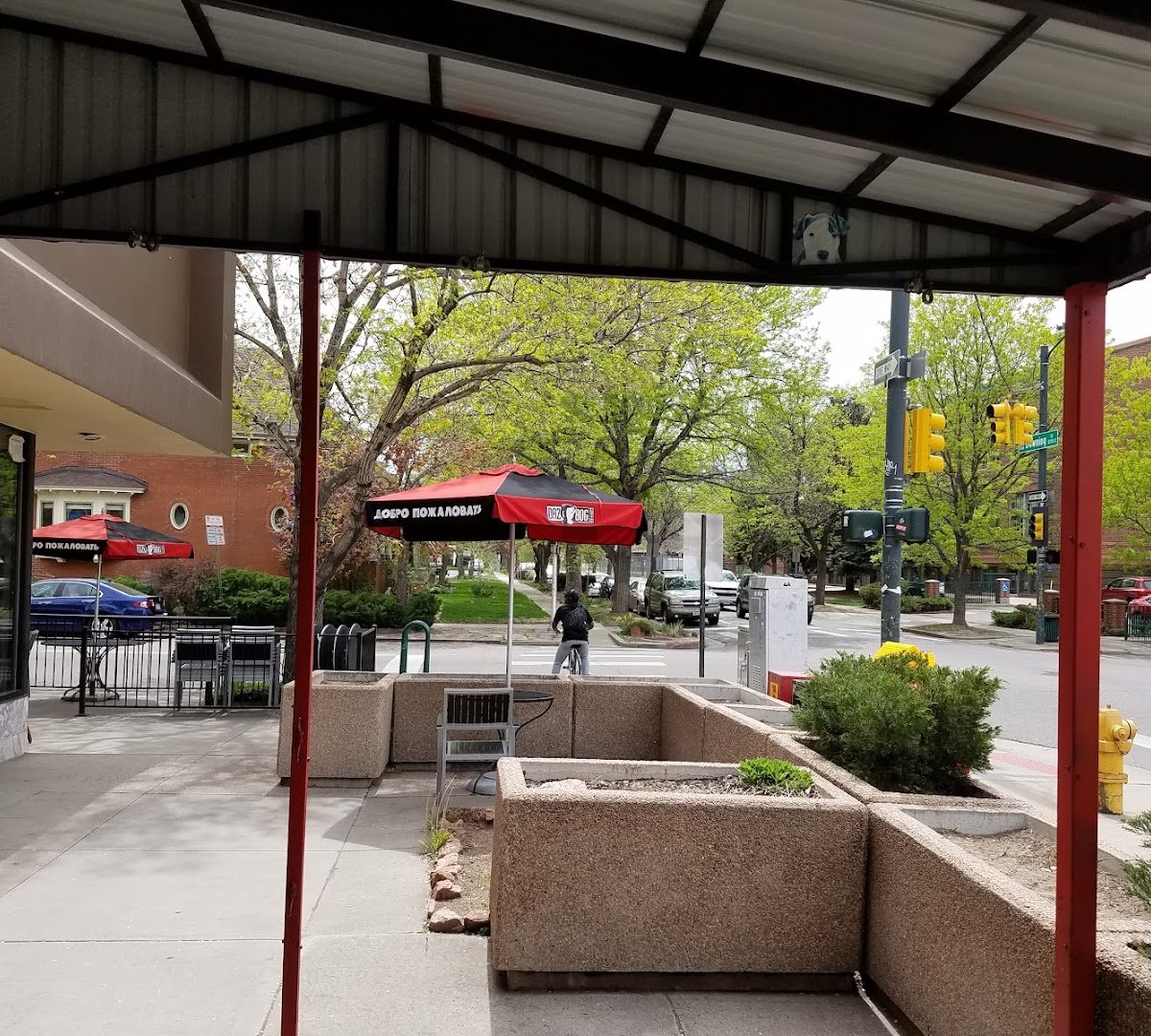 Dazbog Coffee specialty coffee shop in Denver - photo 12