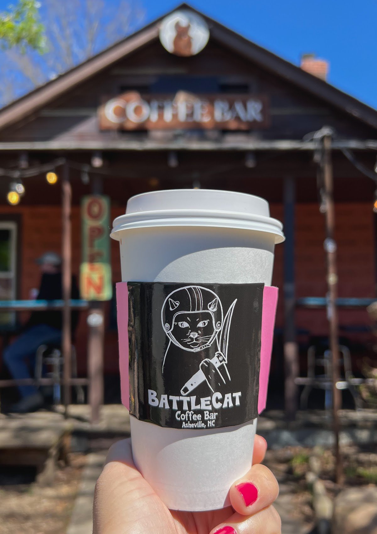 BattleCat Coffee Bar specialty coffee shop in Asheville - photo 4