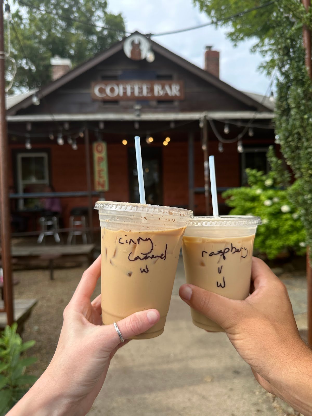 BattleCat Coffee Bar specialty coffee shop in Asheville - photo 7