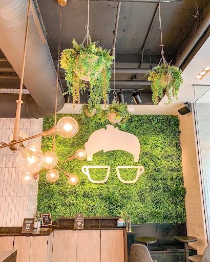 Gregorys Coffee specialty coffee shop in Washington, D.C. - photo 2