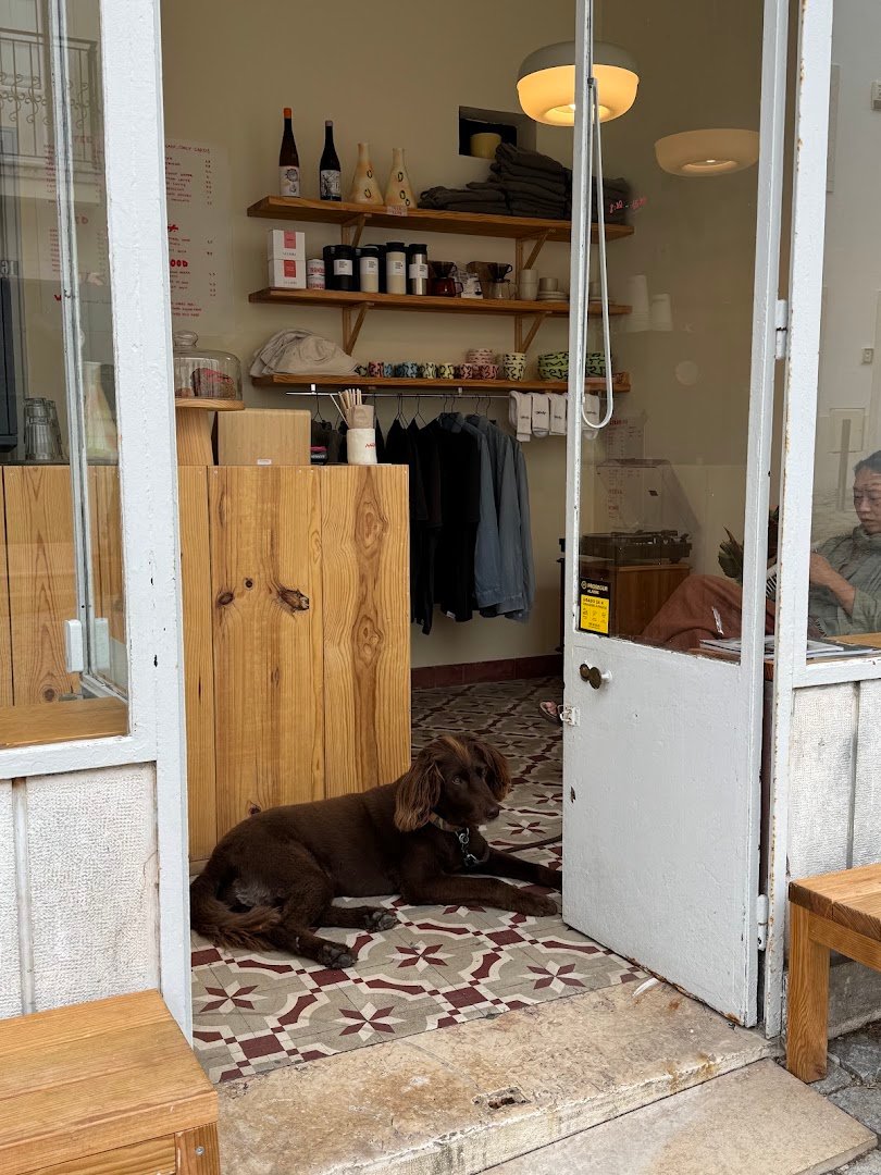 Interior of Anemia Specialty Coffee & Retail, specialty coffee shop in Lisbon