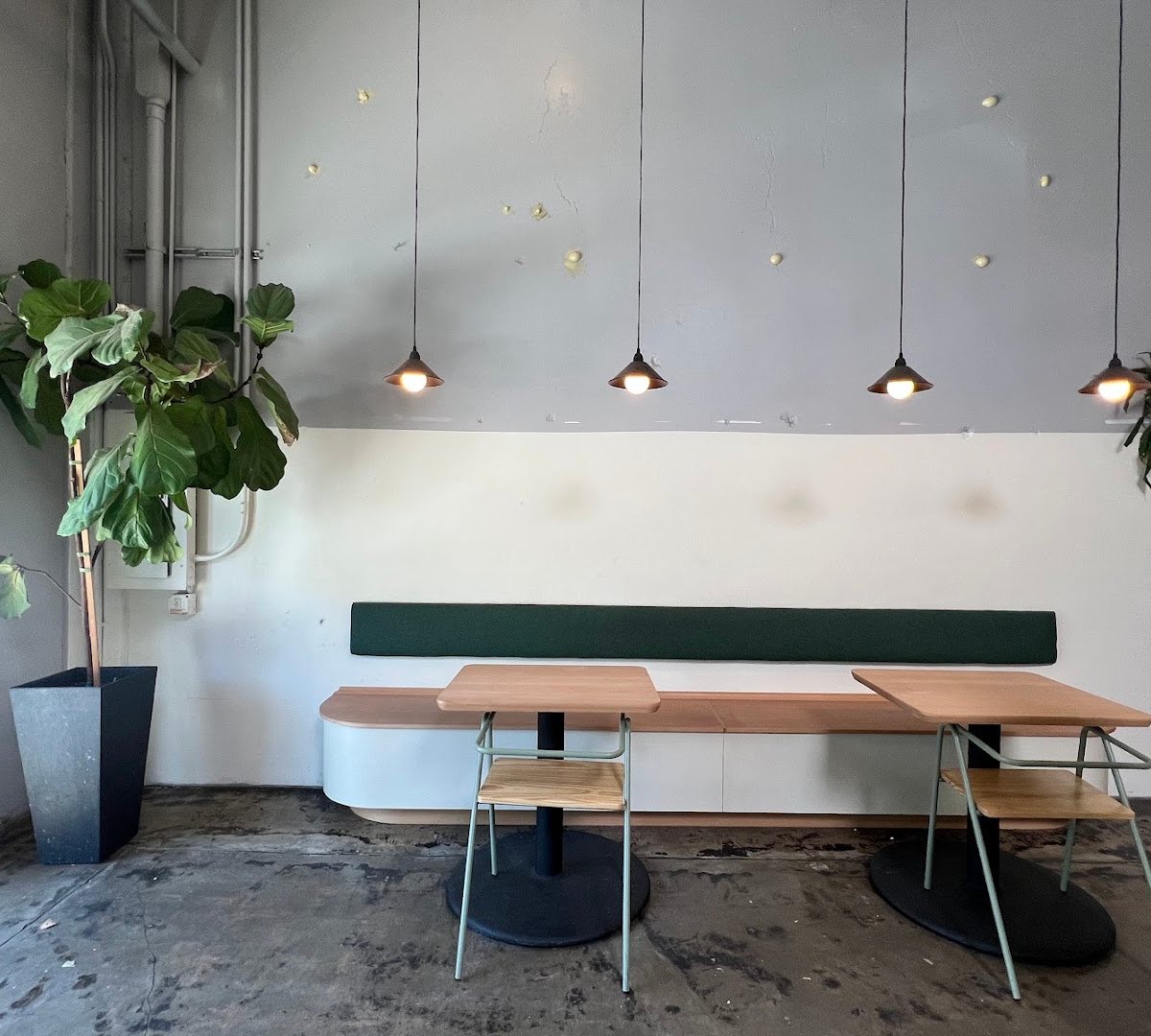 Interior of Mast Coffee, specialty coffee shop in Sacramento