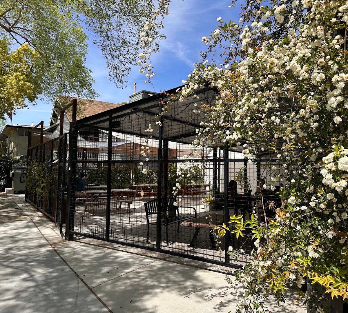 Storefront of Mast Coffee, specialty coffee shop in Sacramento