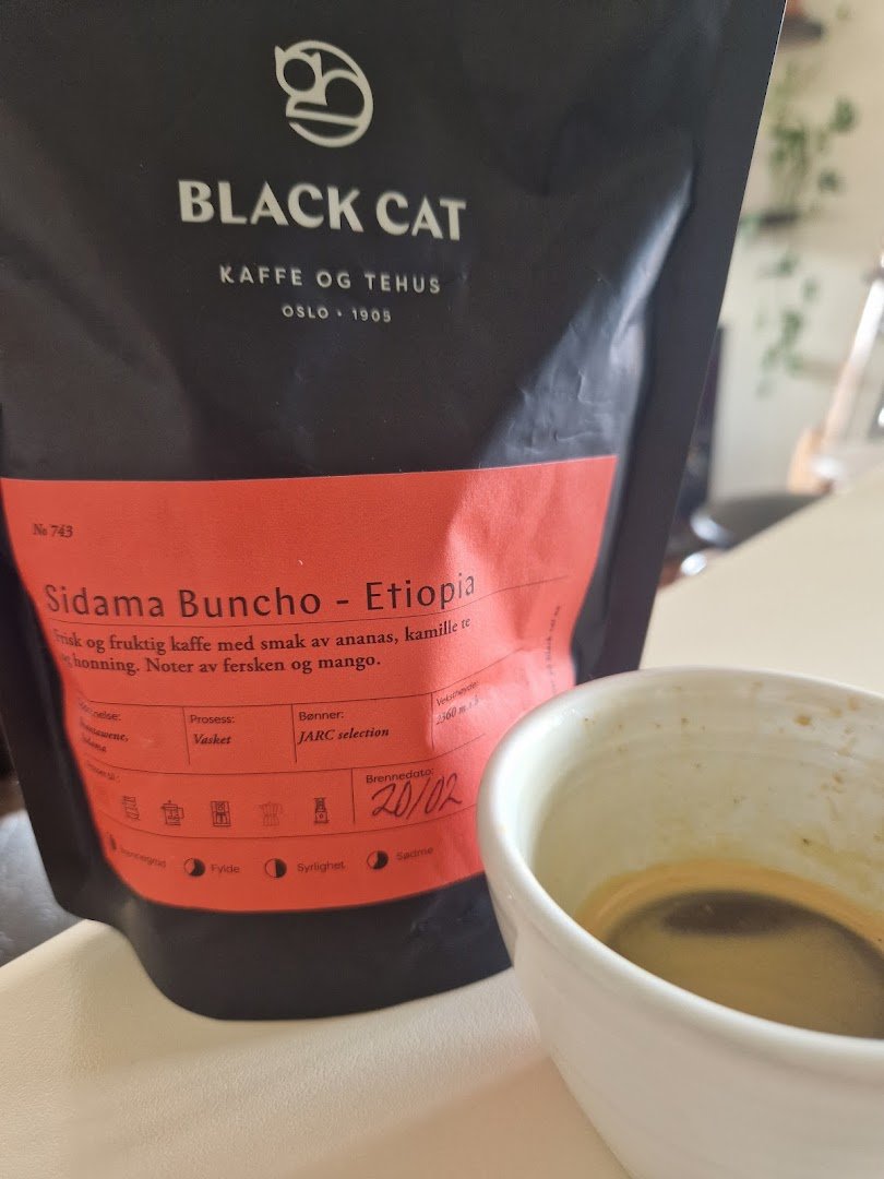 Coffee at Black Cat Kaffe og Tehus - Byporten, specialty coffee shop in Oslo