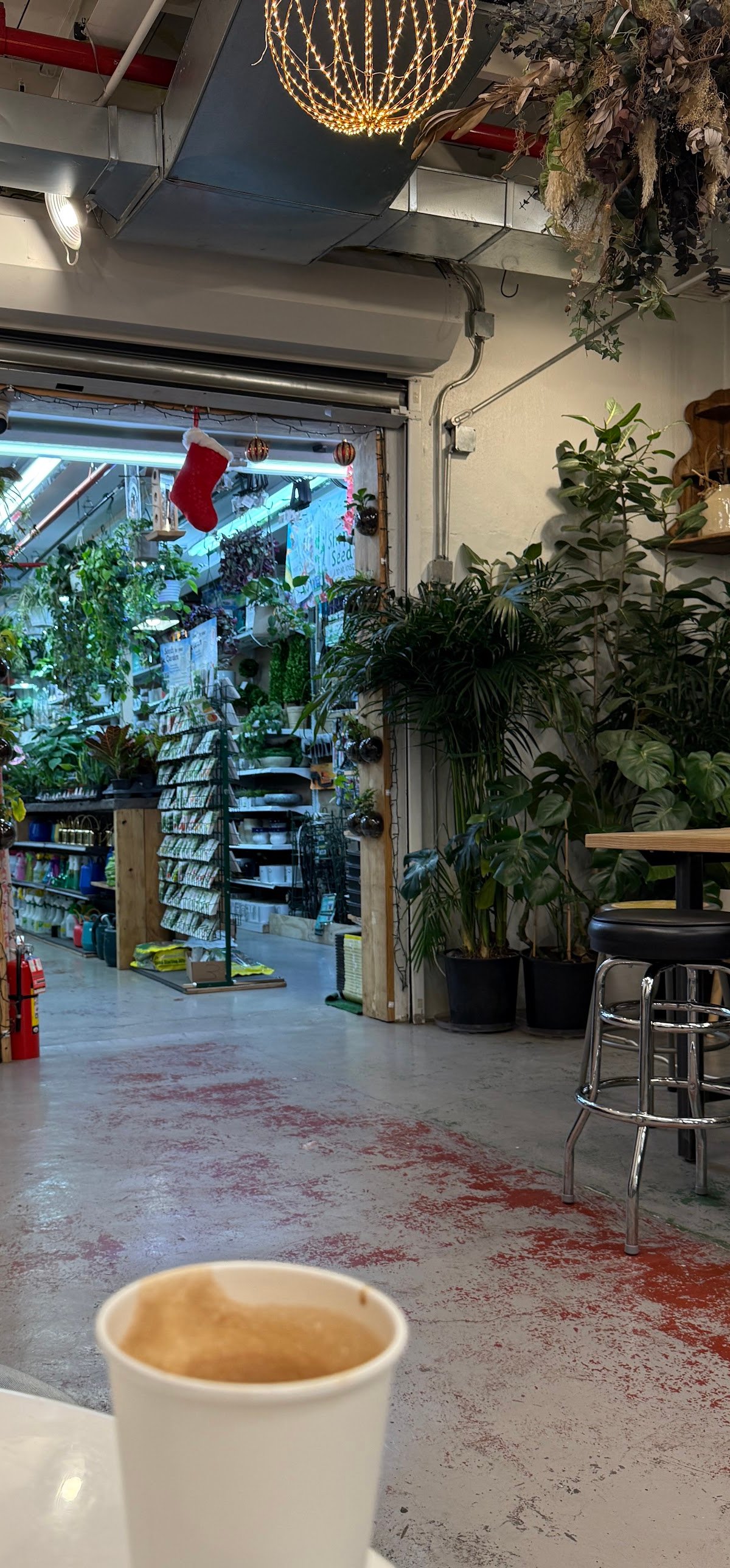 MUSHTARI COFFEE SHOP specialty coffee shop in New York - photo 11