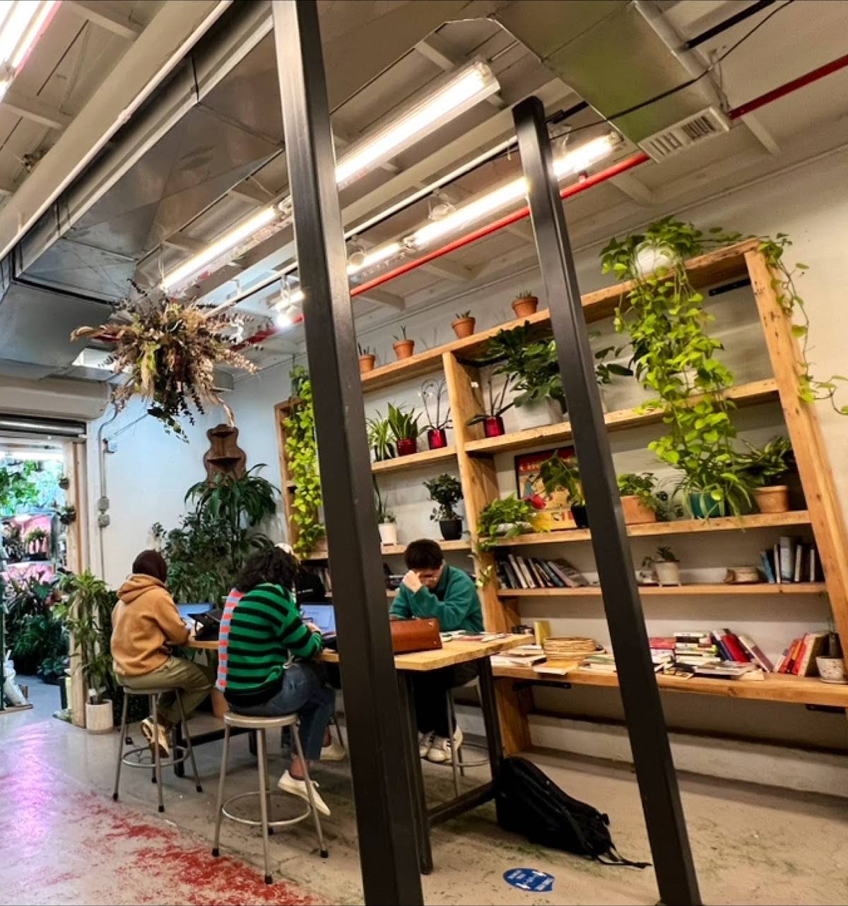 MUSHTARI COFFEE SHOP specialty coffee shop in New York - photo 7