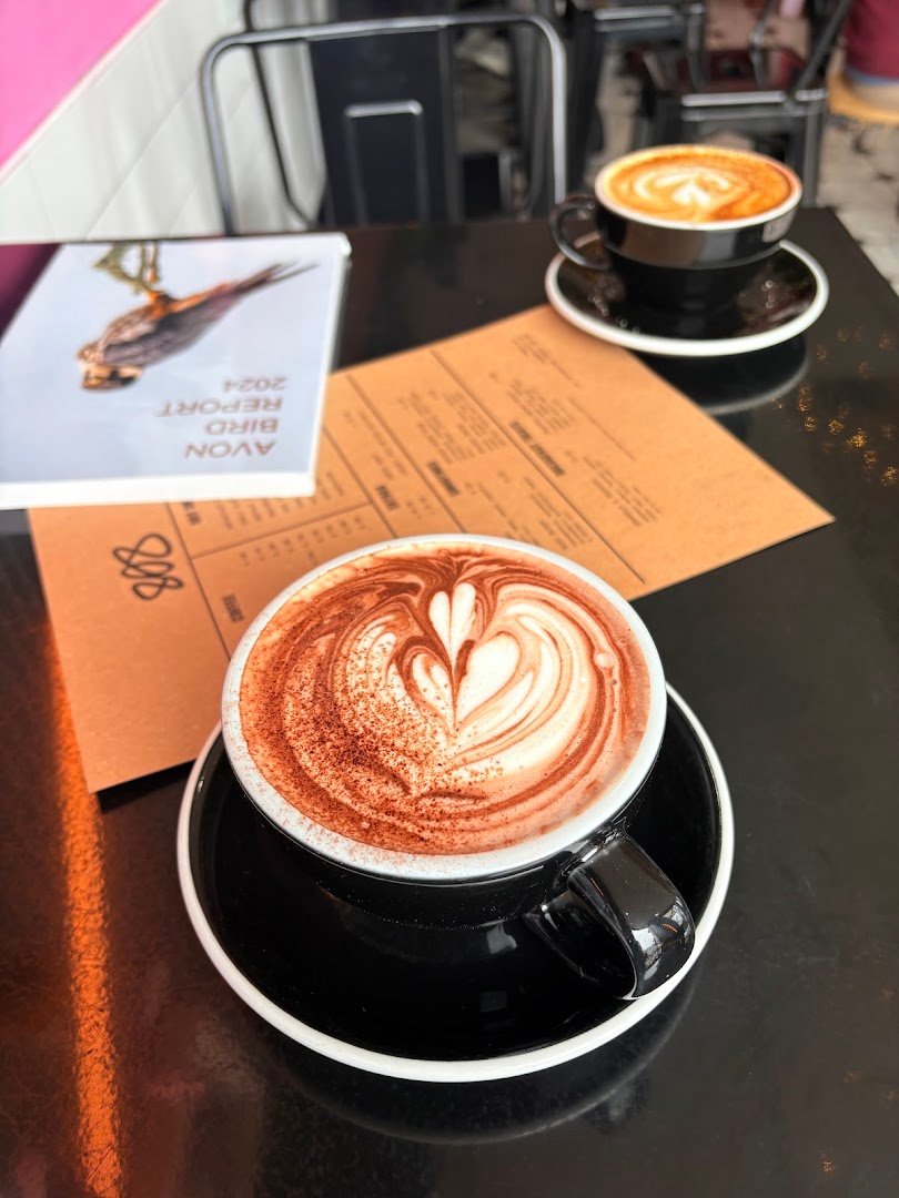 808 Bristol specialty coffee shop in Bristol - photo 3
