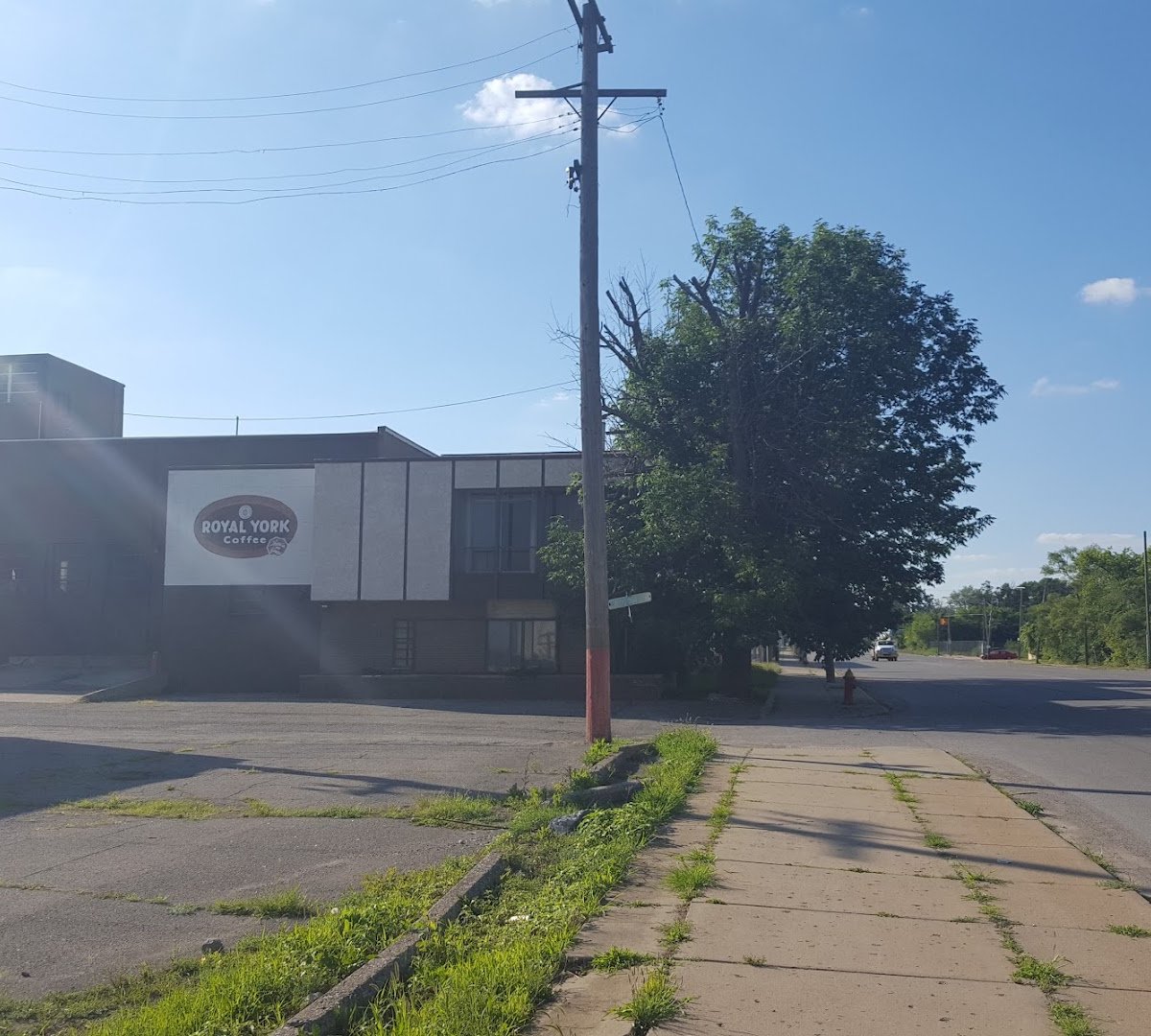 Becharas Brothers Coffee Co. specialty coffee shop in Detroit - photo 3