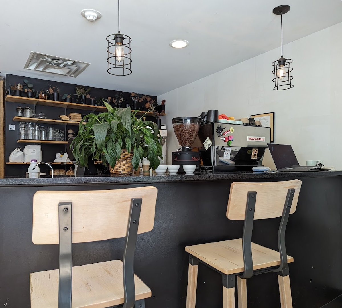 Onyx Tonics Specialty Coffee specialty coffee shop in Burlington - photo 5