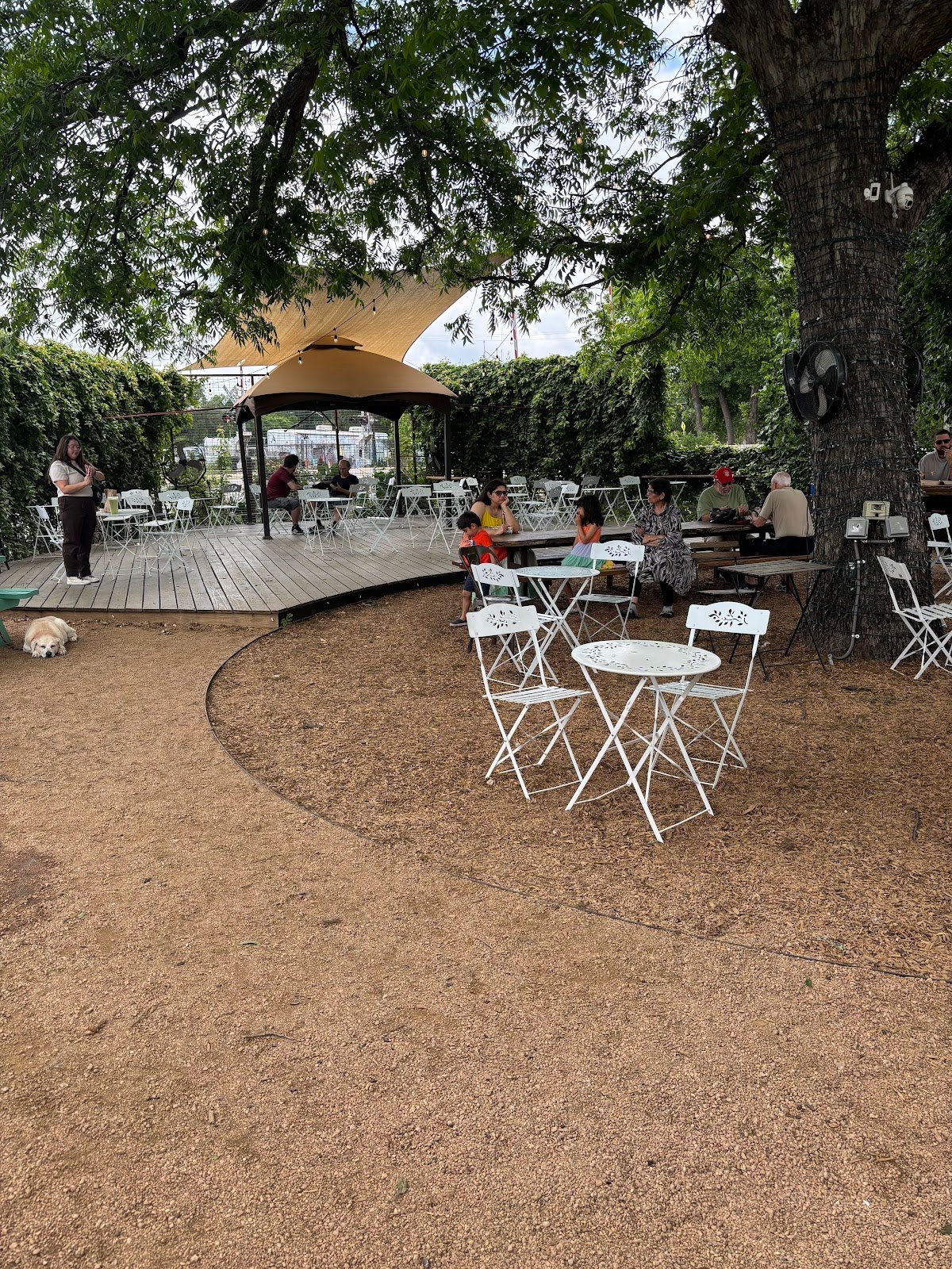 Desnudo Coffee: East Austin specialty coffee shop in Austin - photo 2