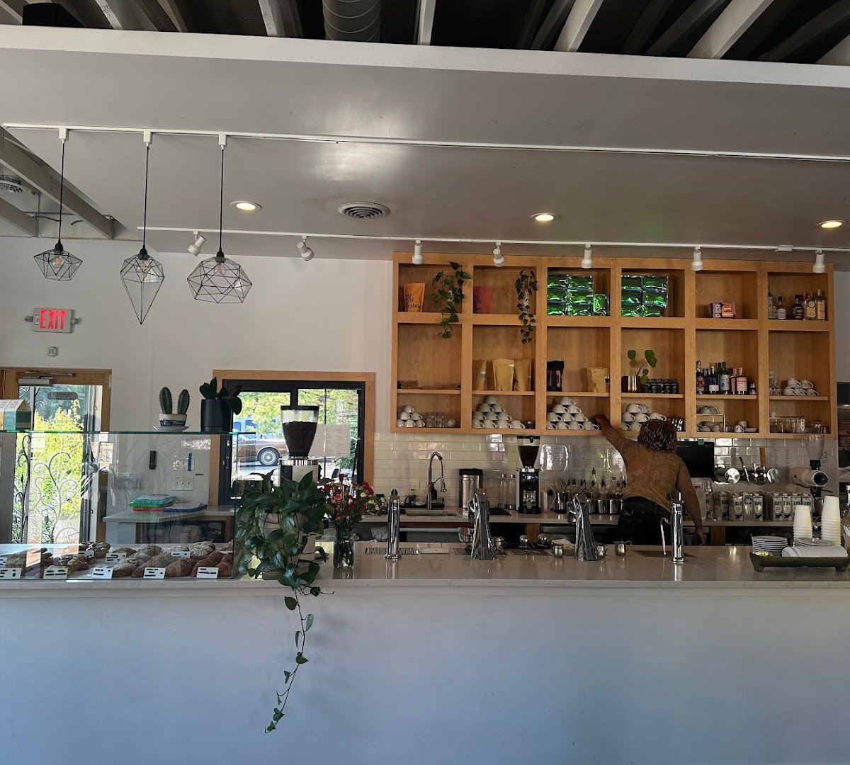 Interior of Fiddlehead Fern Cafe, specialty coffee shop in St. Louis