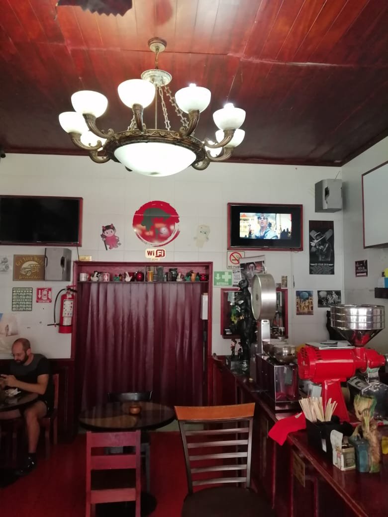Interior of Café el Cordobes, specialty coffee shop in Mexico City