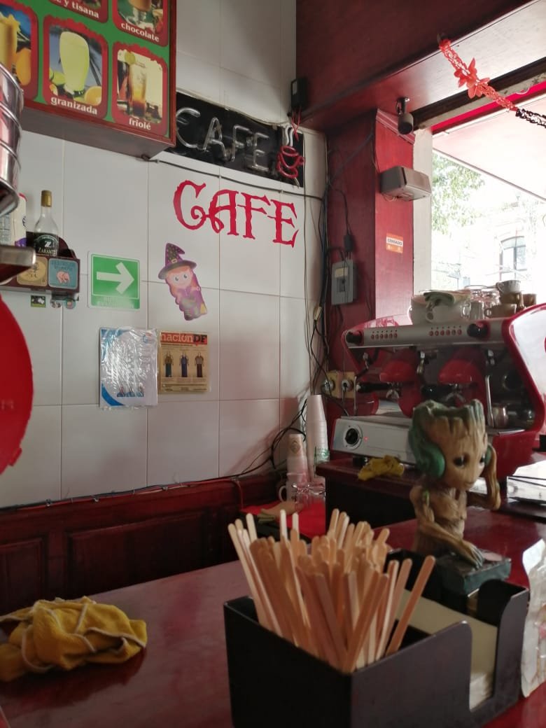 Interior of Café el Cordobes, specialty coffee shop in Mexico City