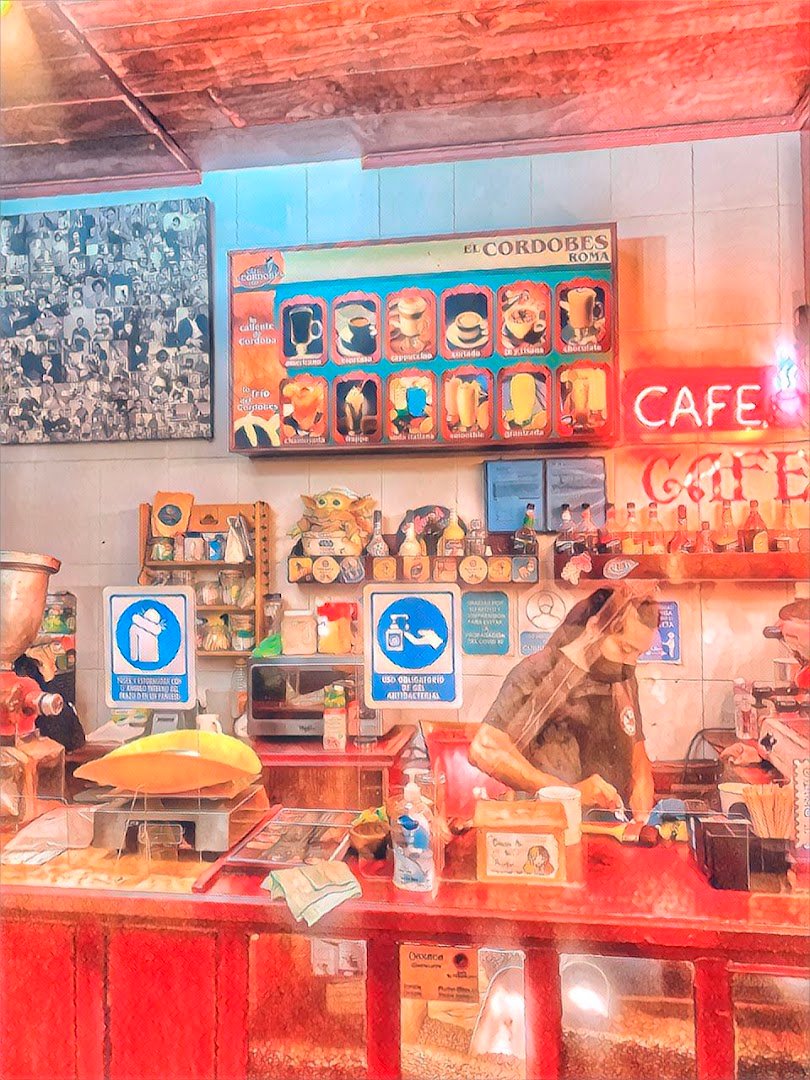 Interior of Café el Cordobes, specialty coffee shop in Mexico City
