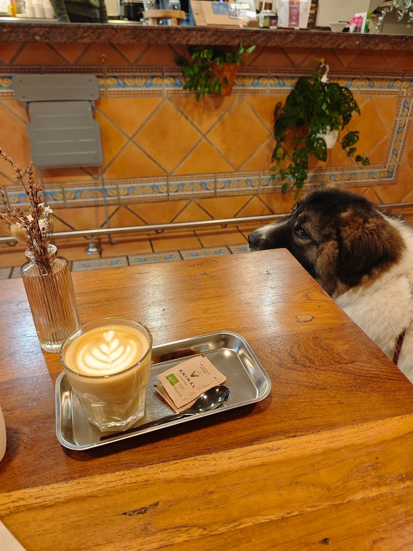 ānāpāna coffee specialty coffee shop in Barcelona - photo 7