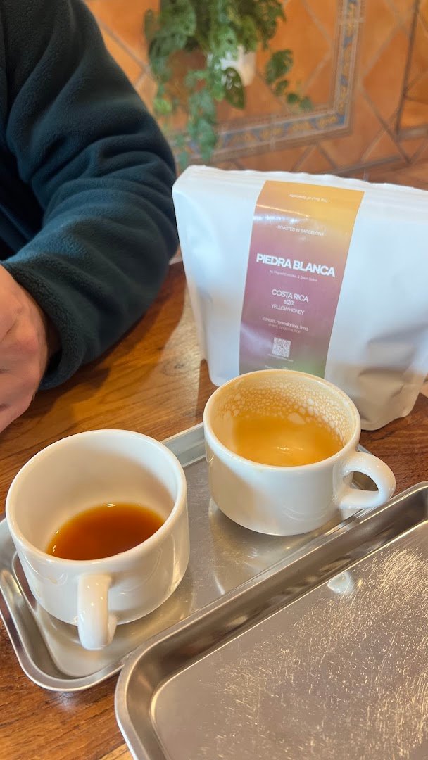 ānāpāna coffee specialty coffee shop in Barcelona - photo 8