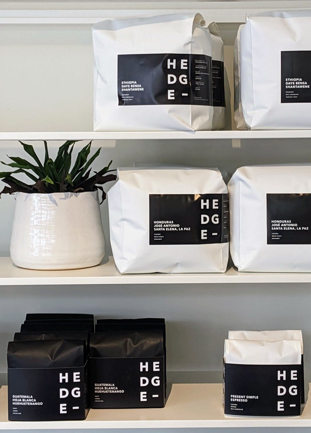 Neighbor's Corner specialty coffee shop in San Francisco - photo 12