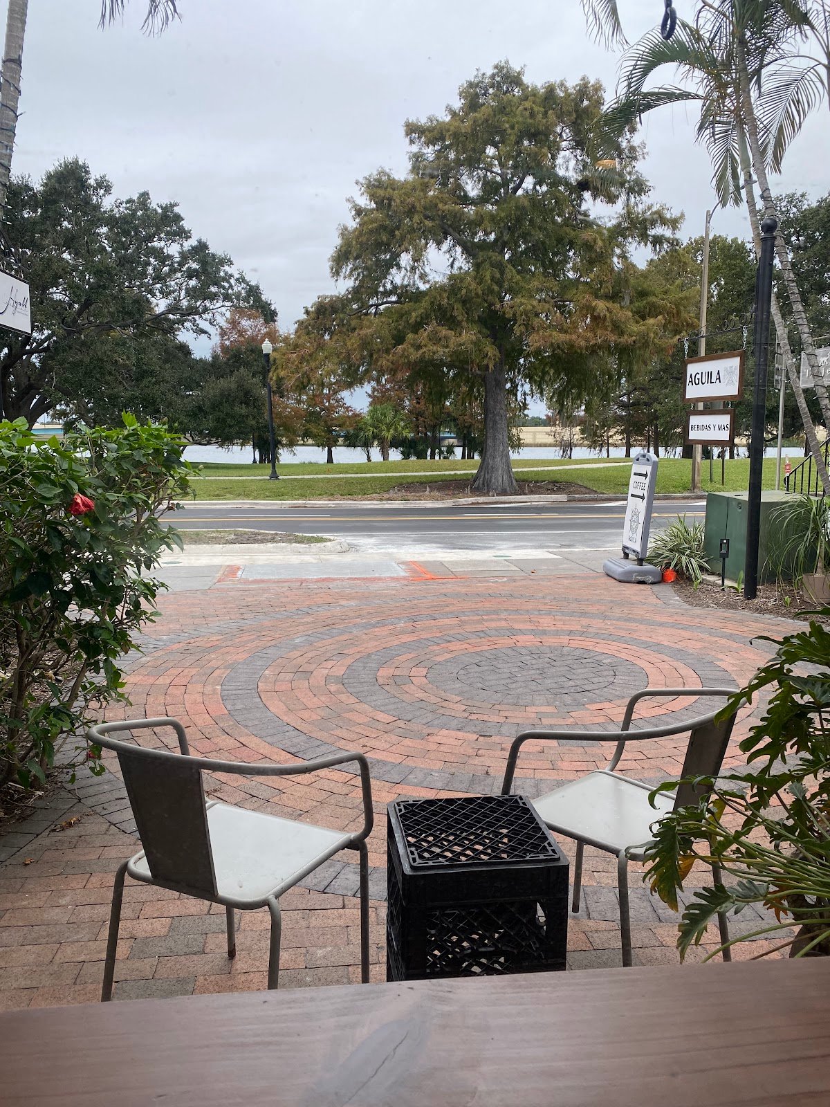 Águila Coffee specialty coffee shop in Orlando - photo 2