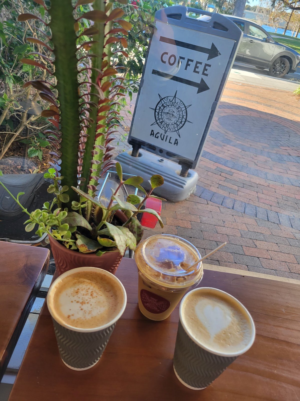 Águila Coffee specialty coffee shop in Orlando - photo 7