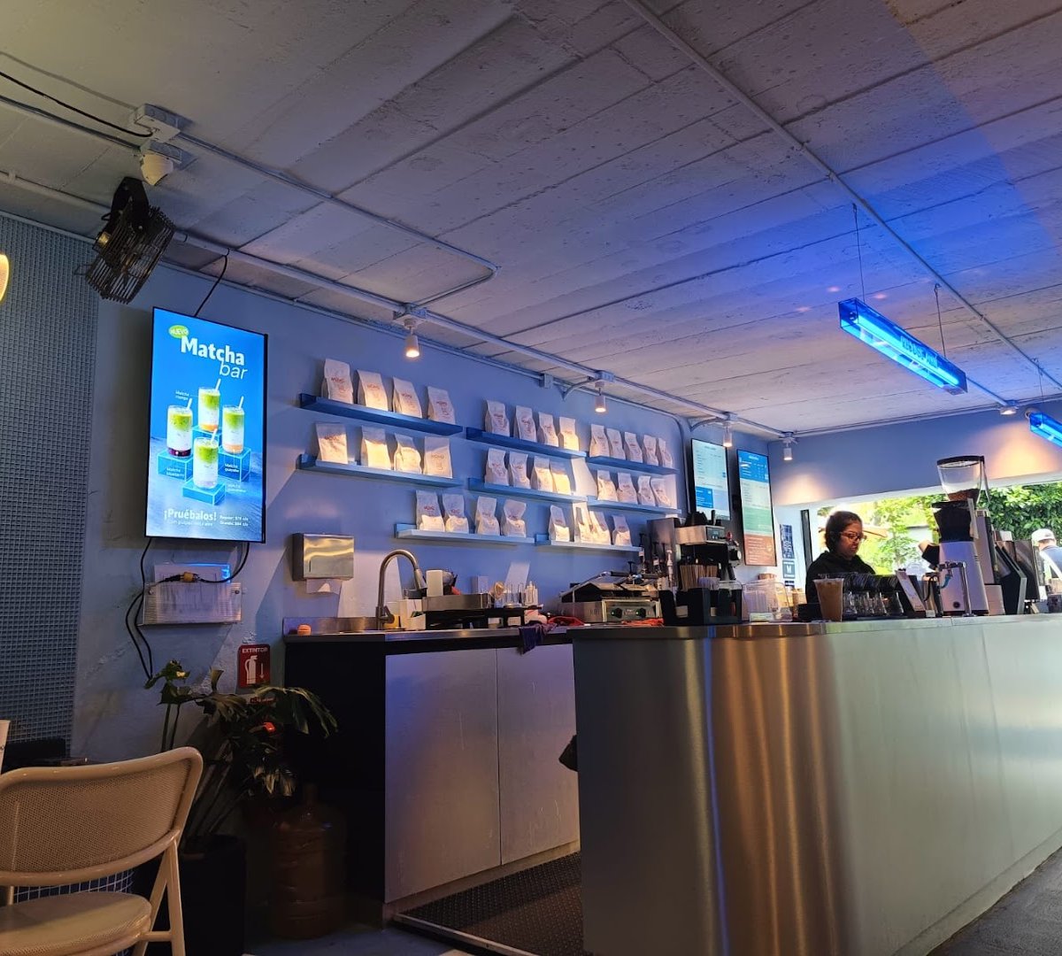 Interior of MOMO Coffee - Jardín de Arte, specialty coffee shop in Mexico City