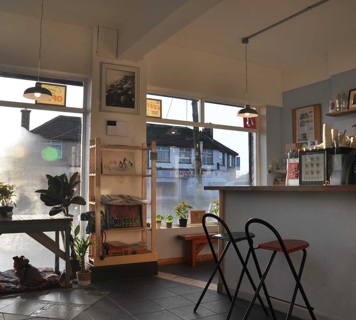Driftwood Coffee Co. specialty coffee shop in Dublin - photo 4